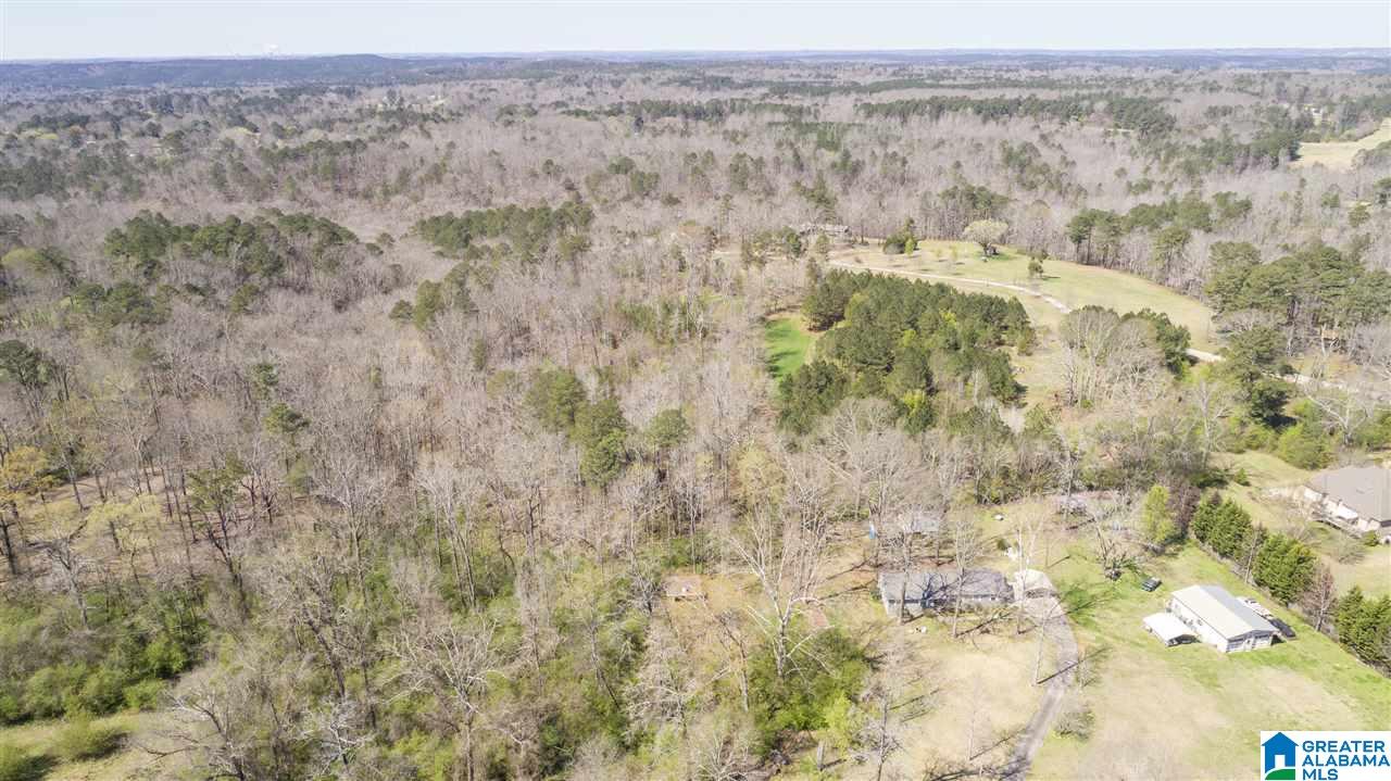 850 Rosemary Way Mount Olive, AL 35117 - Photo 5 of 12