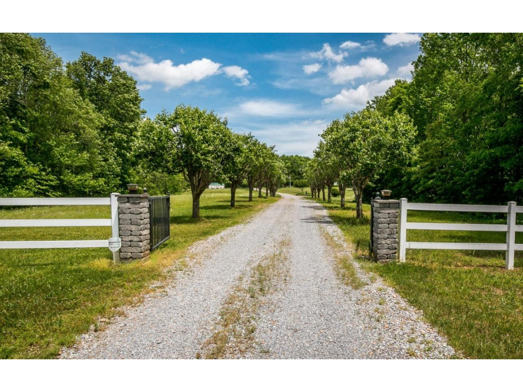 1735 Middle Creek Road Afton, TN 37616 - Photo 2 of 24 Photo 2