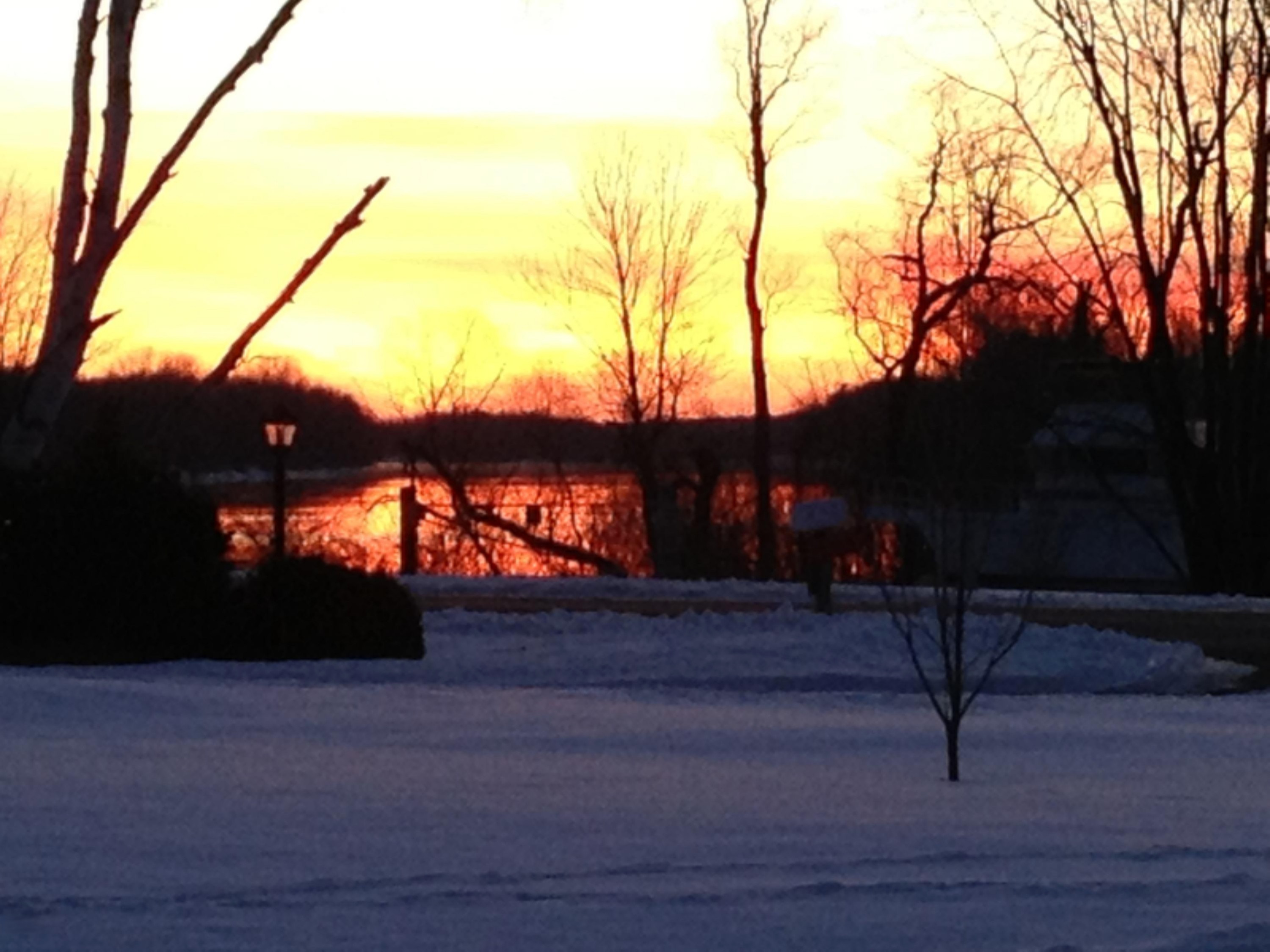 all iphone photos 026.JPG
