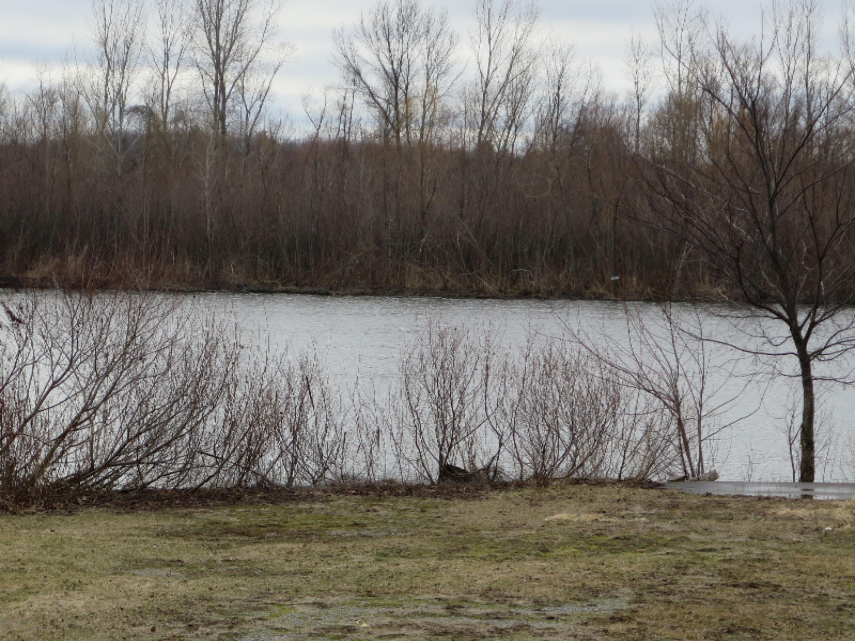 14097 Garfield Road Spring Lake, MI 49456 - Photo 9 of 36 IMG_0296.JPG