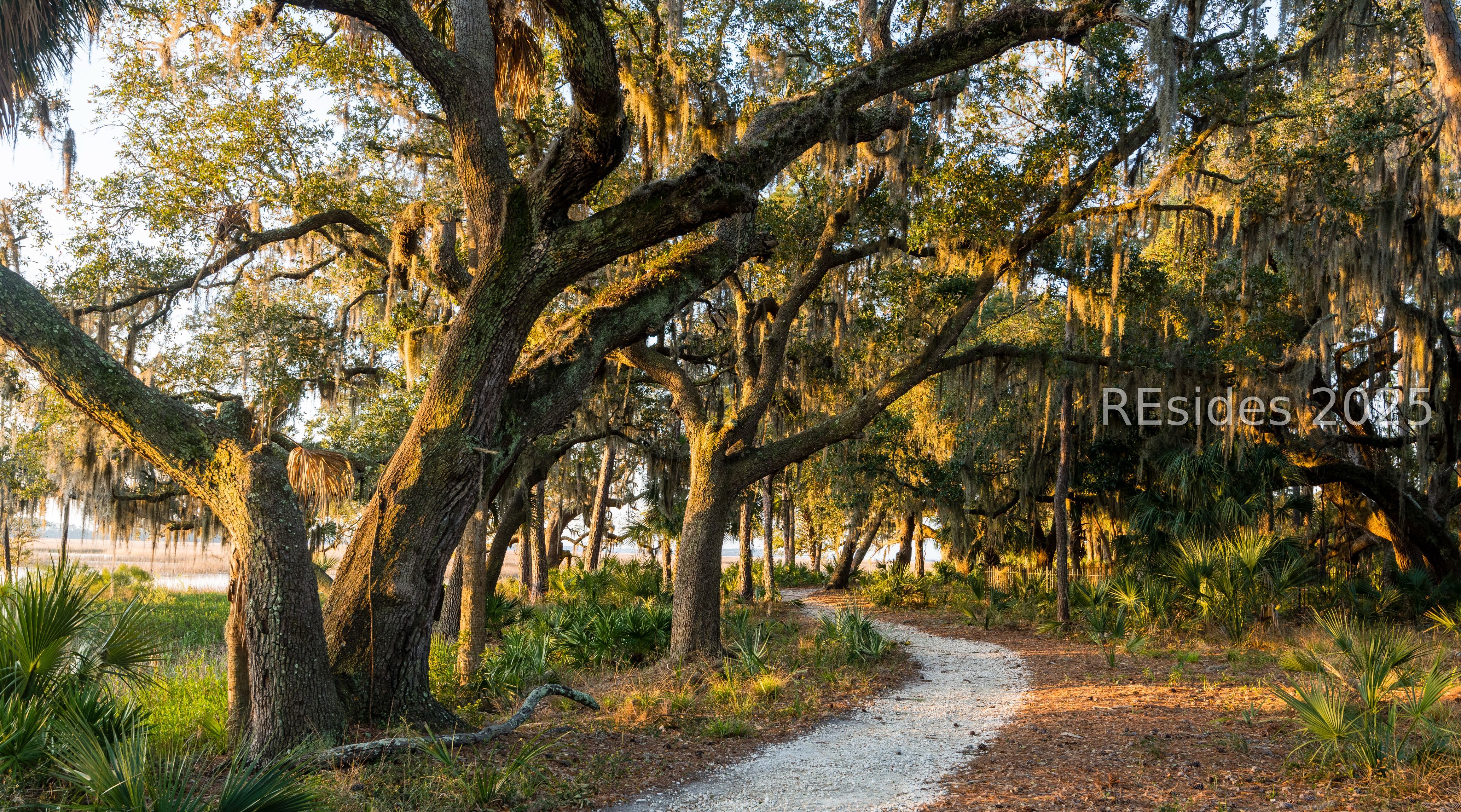 85 Amaranth Road Bluffton, SC 29910 - Photo 4 of 6