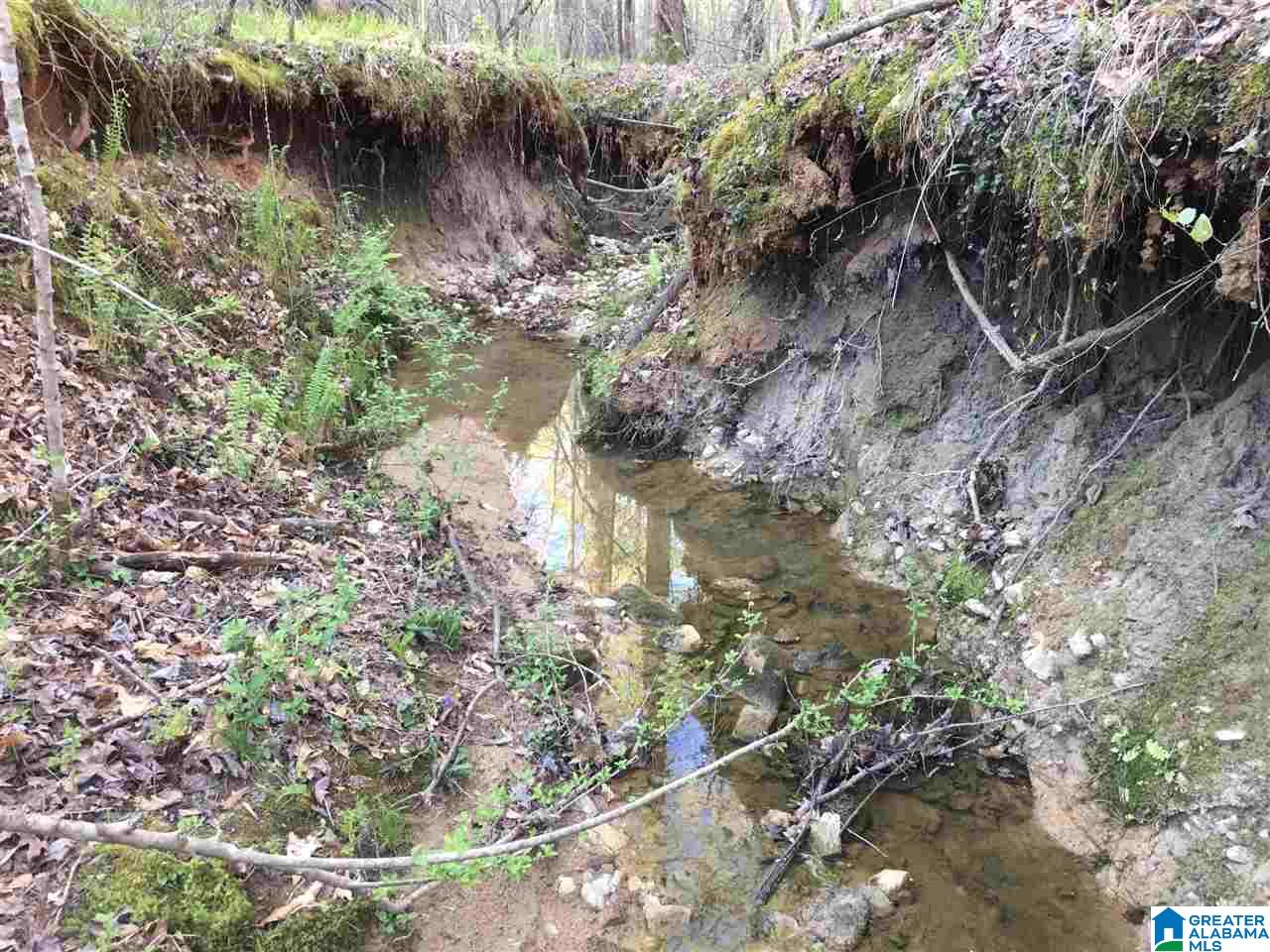 0 6th Street Alexander City, AL 35010 - Photo 8 of 13
