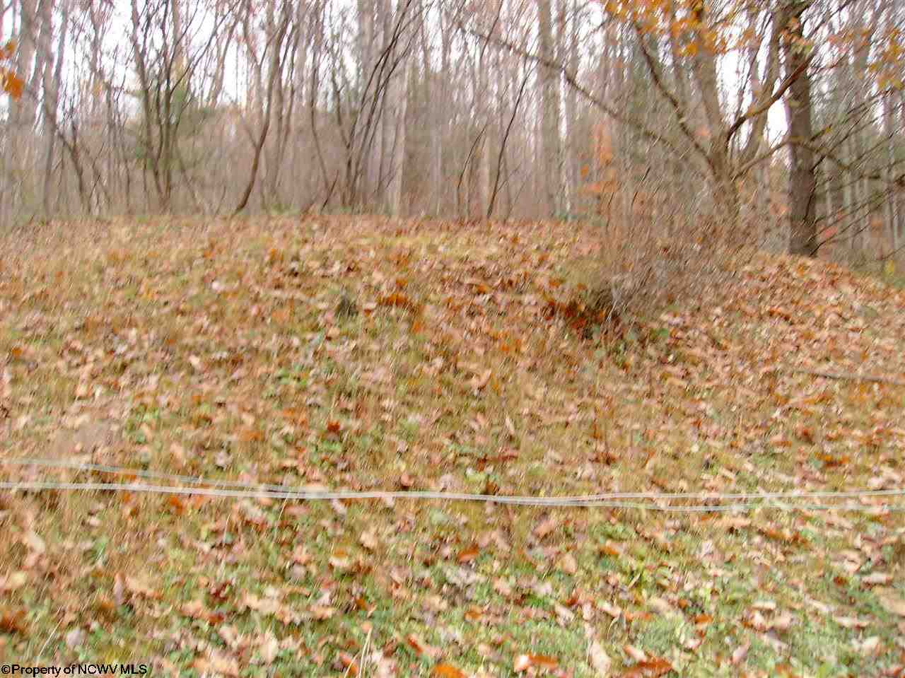 5633 Old Turnpike Road Sutton, WV 26601 - Photo 19 of 19 Gallery Image 19