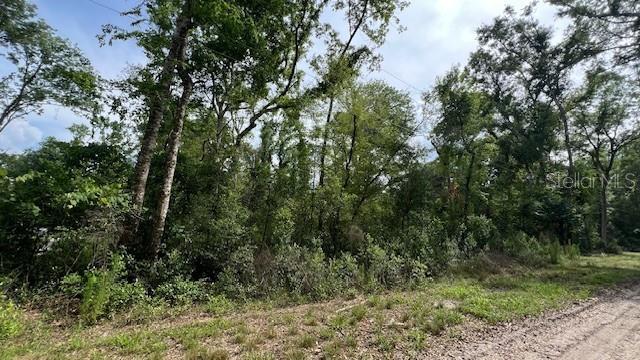 Southwest Bumble Street Fort White, FL 32038 - Photo 3 of 15 a view of a forest with trees in the background