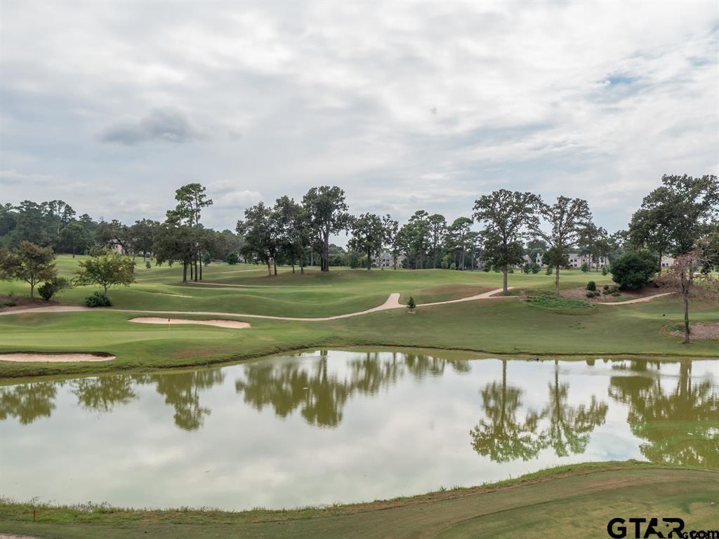 3351 Cascades Court, Unit 324 Tyler, TX 75709 - Photo 45 of 46 a view of a lake