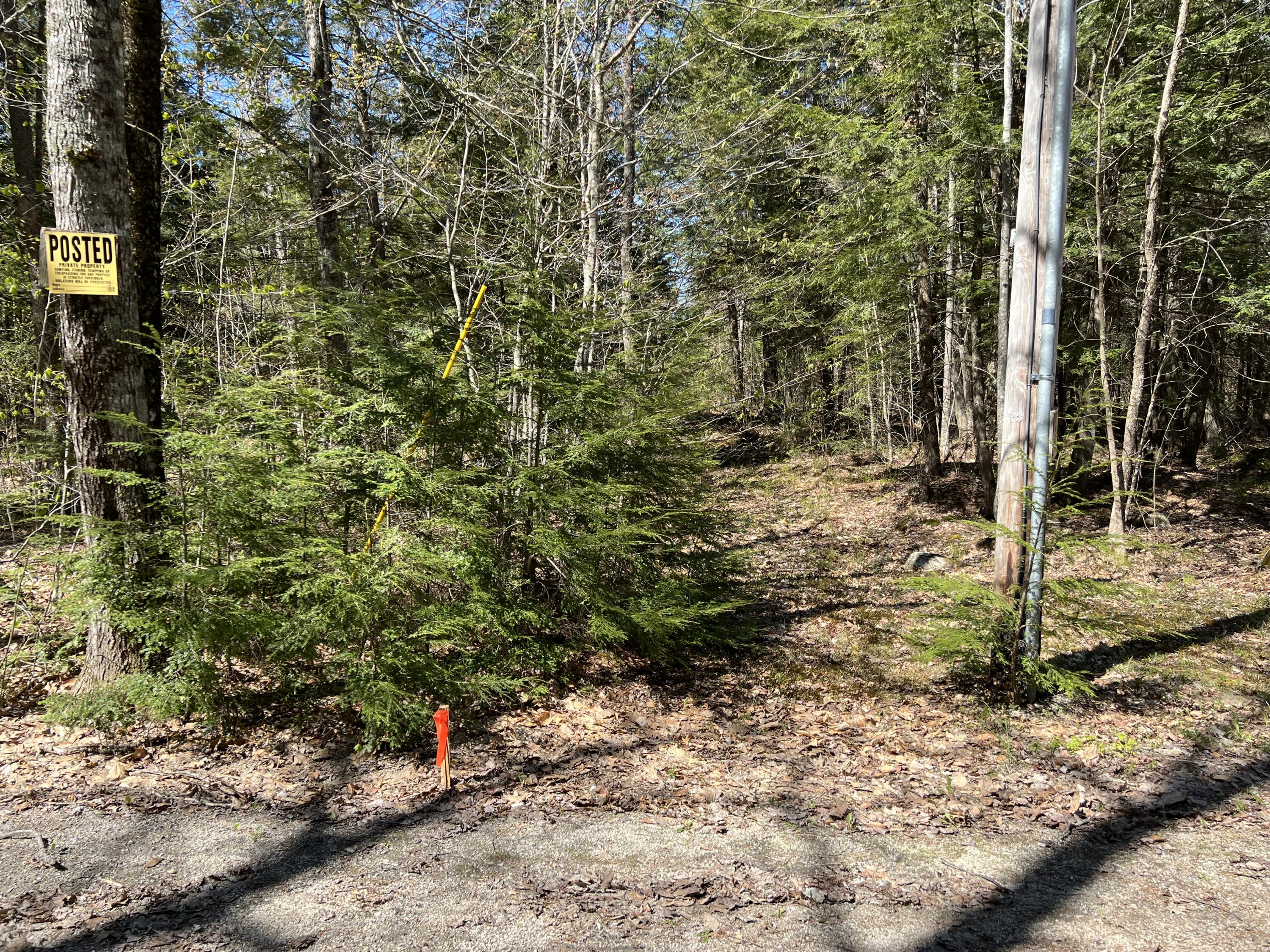 0 Holbrook Road Turner, ME 04282 - Photo 6 of 7 6779F589-DB02-46B3-AEC6-ED2653491006