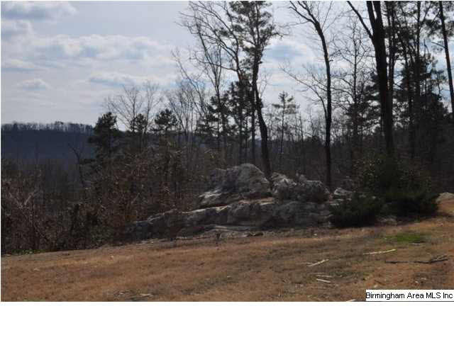 1826 Chandler Mountain Road Steele, AL 35987 - Photo 18 of 24