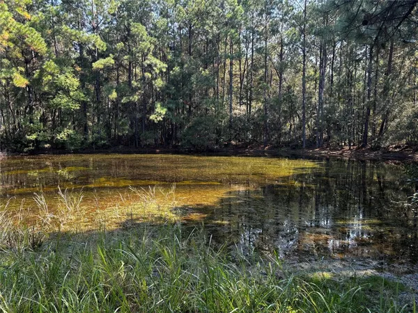 $1,380,055 | 1 Trinity Lady Park Road West, Trinity, TX 75862