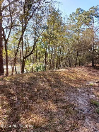 a view of a yard with a tree