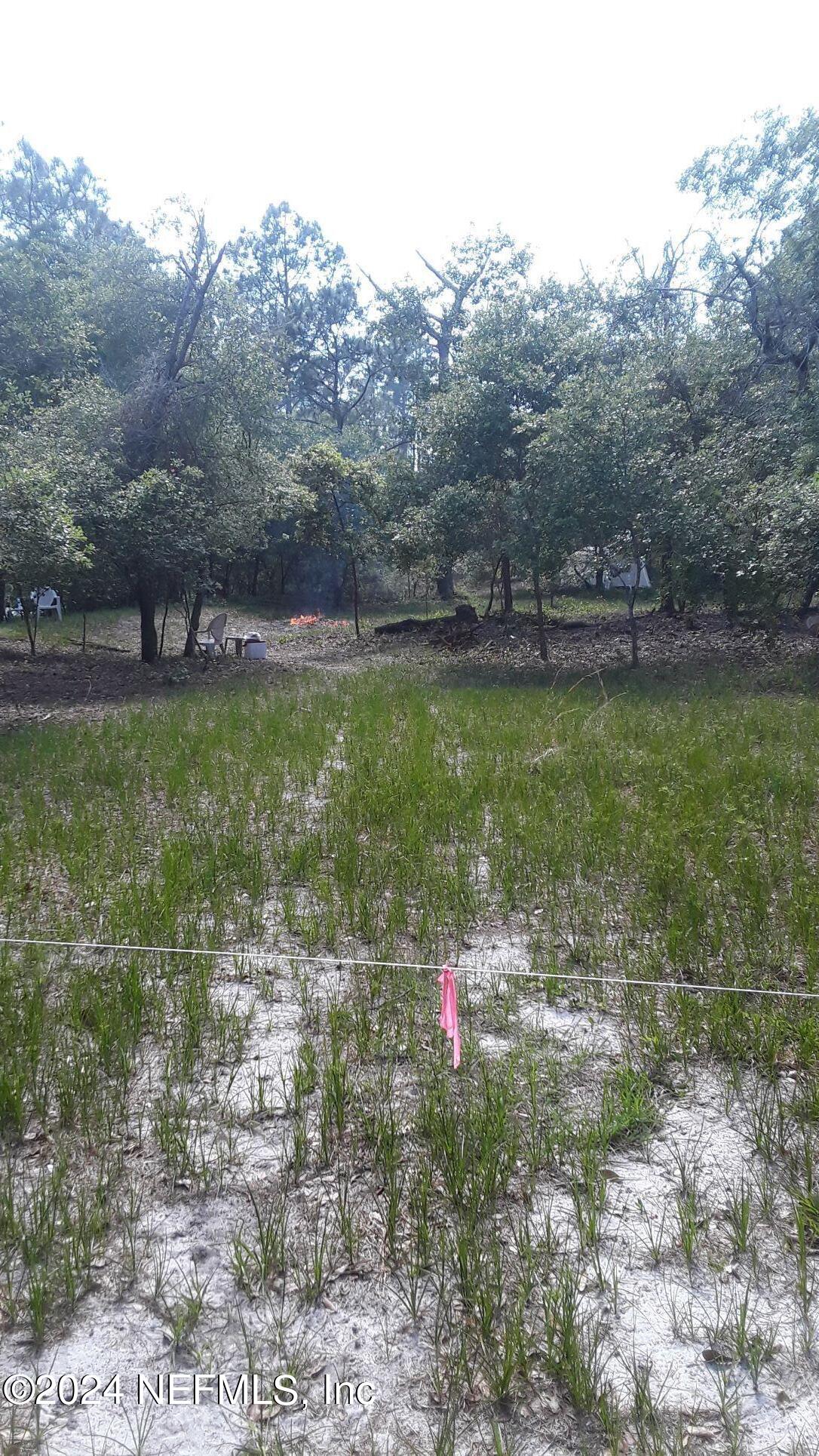 5455 Joshua Street Keystone Heights, FL 32656 - Photo 11 of 23 a view of a field with plants and large trees