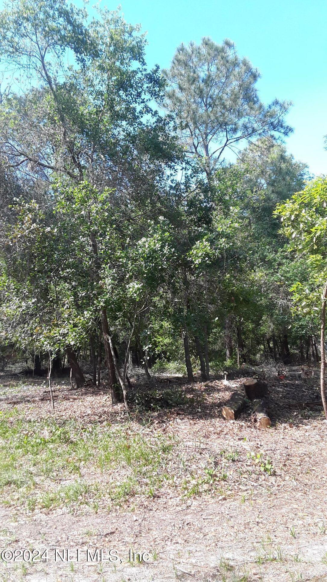 5455 Joshua Street Keystone Heights, FL 32656 - Photo 12 of 23 a backyard of a house with lots of trees