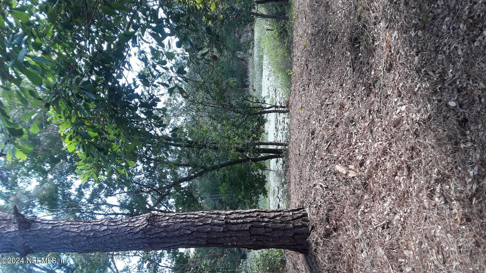 5455 Joshua Street Keystone Heights, FL 32656 - Photo 13 of 23 a view of a forest filled with trees