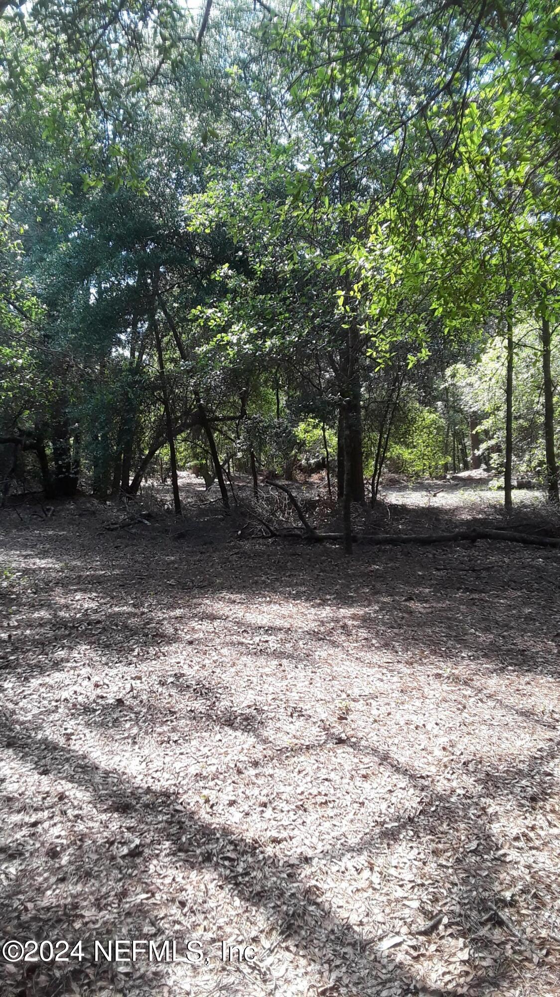 5455 Joshua Street Keystone Heights, FL 32656 - Photo 14 of 23 5455 Joshua St. Middle of property looki