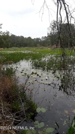 a view of swimming pool with a yard