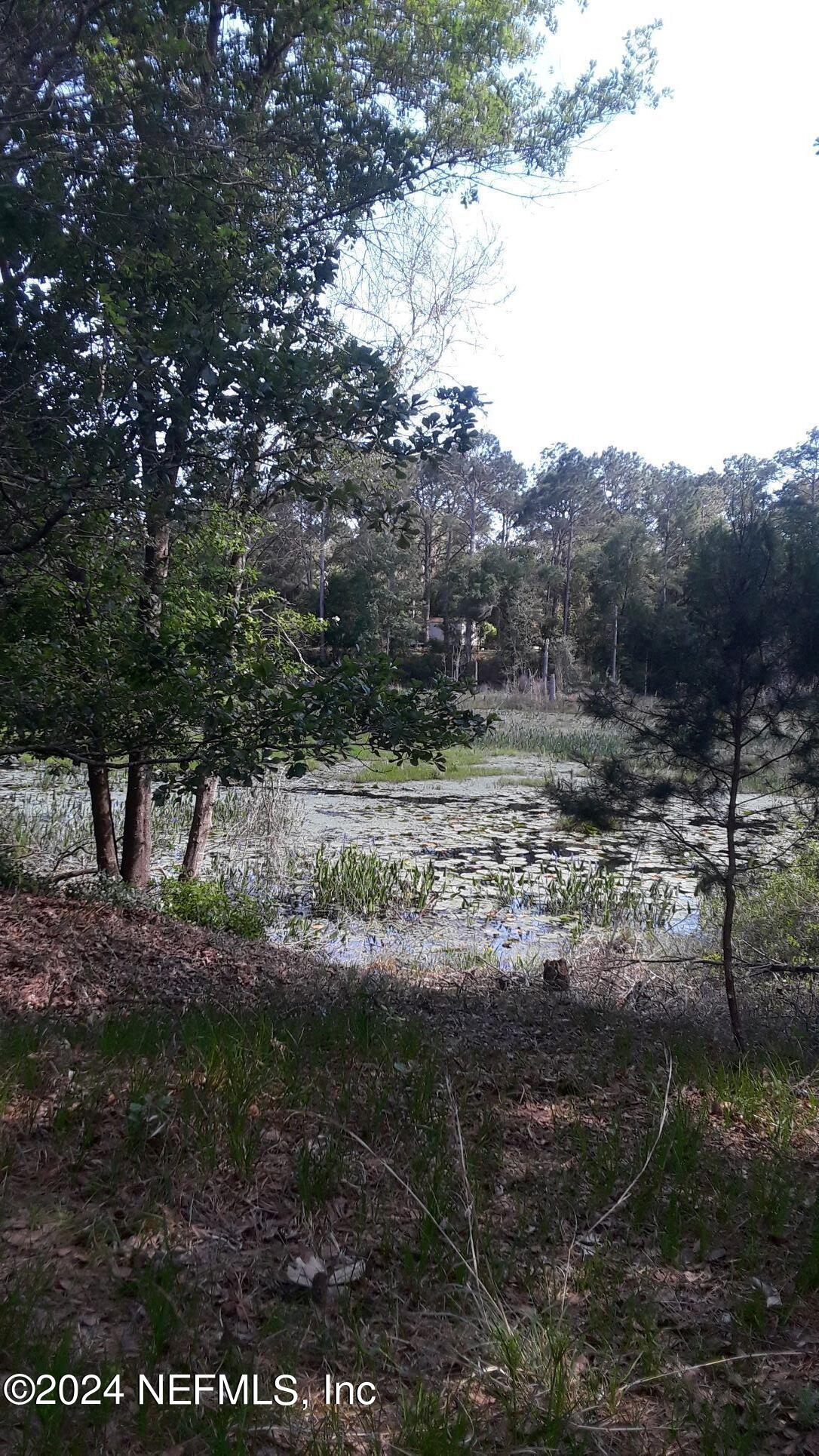 5455 Joshua Street Keystone Heights, FL 32656 - Photo 17 of 23 5455 Joshua St. Winding tree lake from b