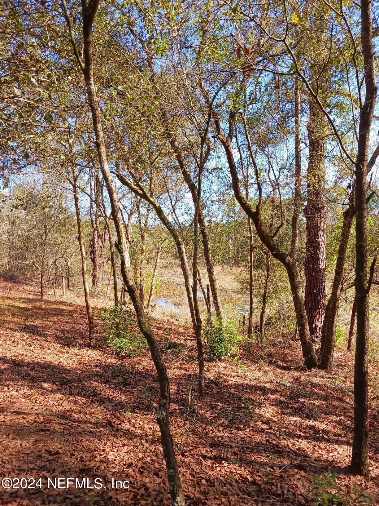 5455 Joshua Street Keystone Heights, FL 32656 - Photo 2 of 23 Joshua St. Fall