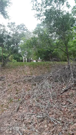 a view of a backyard with trees