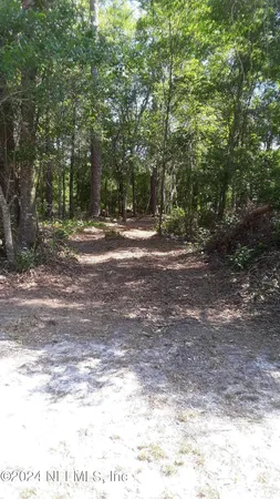 a view of a yard with a tree