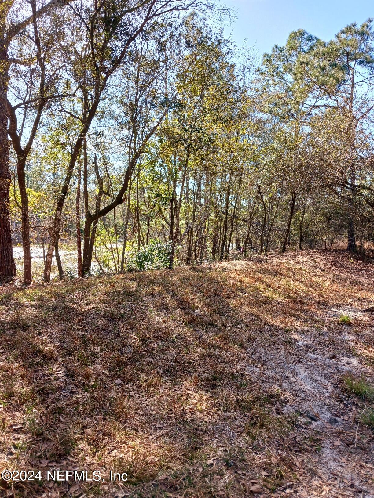 5455 Joshua Street Keystone Heights, FL 32656 - Photo 6 of 23 5455 Joshua, Berm by Lake. Feb 2023