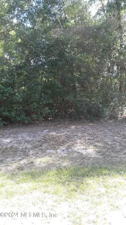 a view of outdoor space and yard