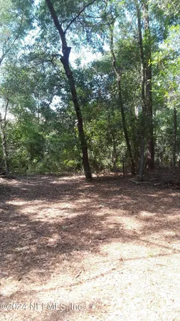 a view of backyard with large trees