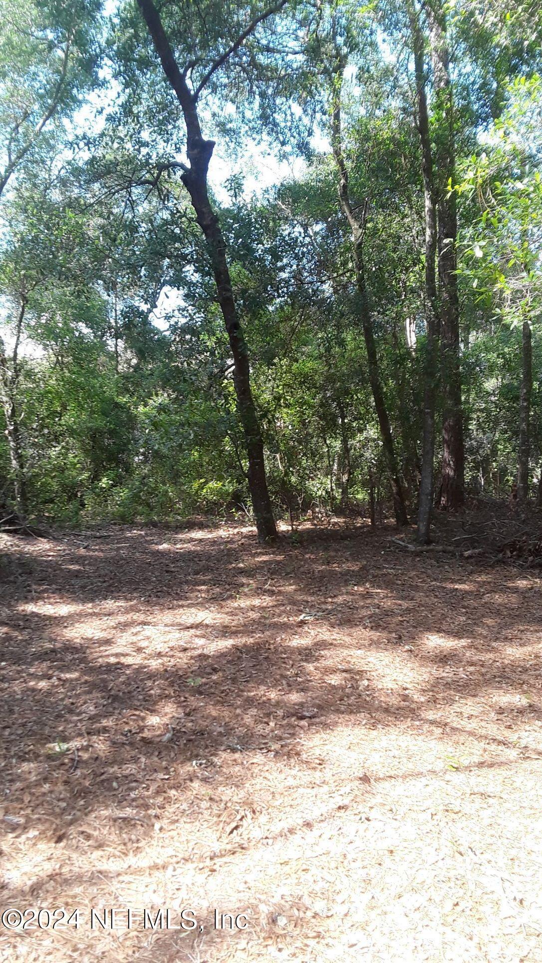 5455 Joshua Street Keystone Heights, FL 32656 - Photo 9 of 23 a view of a yard with a large tree