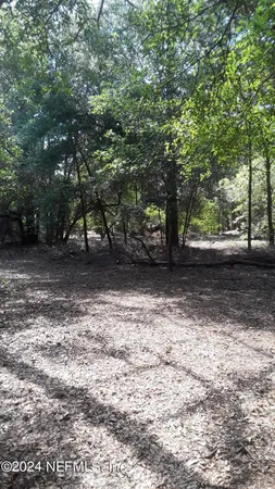 a view of a field with plants and large trees