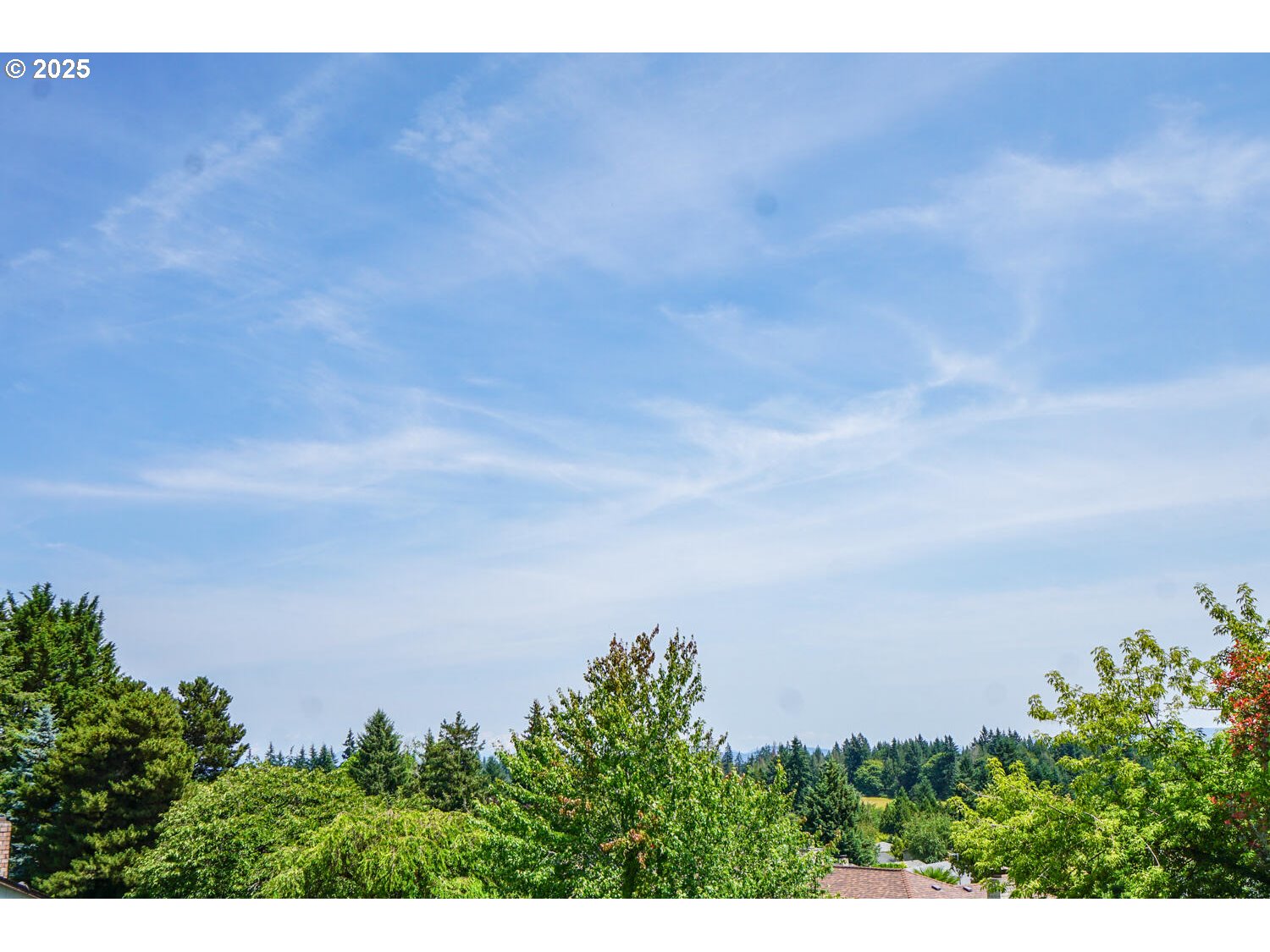 16115 Northeast 31st Avenue Ridgefield, WA 98642 - Photo 34 of 40 View