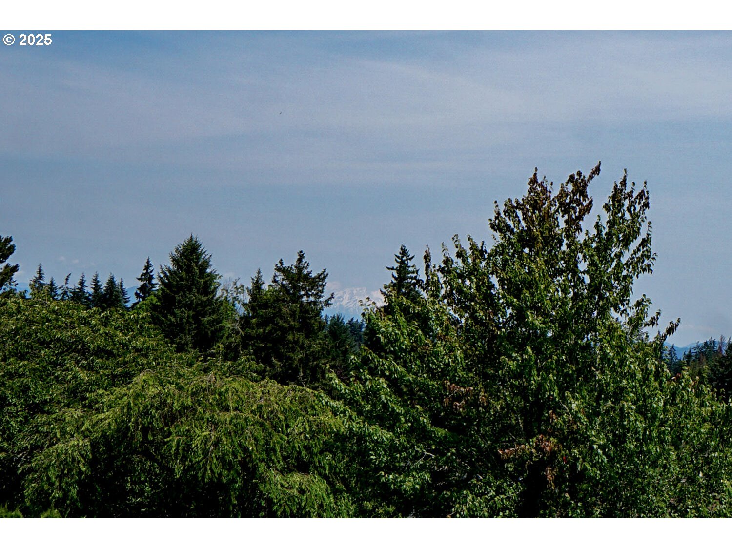 16115 Northeast 31st Avenue Ridgefield, WA 98642 - Photo 35 of 40 View