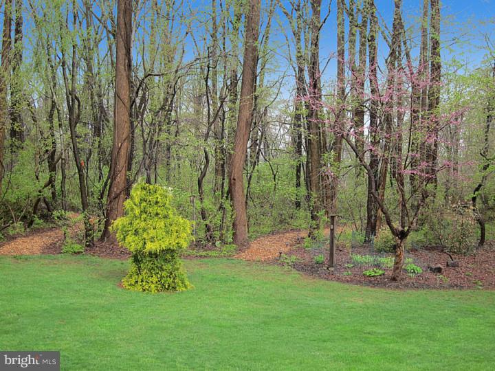 1240 Yellow Springs Road Chester Springs, PA 19425 - Photo 23 of 24 View in Back