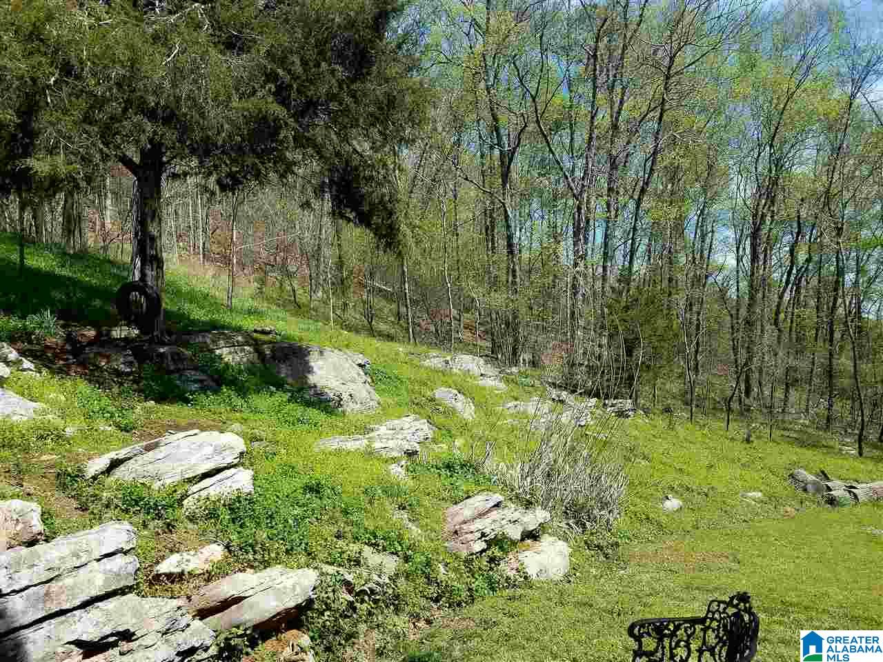 503 1st Street North Oneonta, AL 35121 - Photo 9 of 36