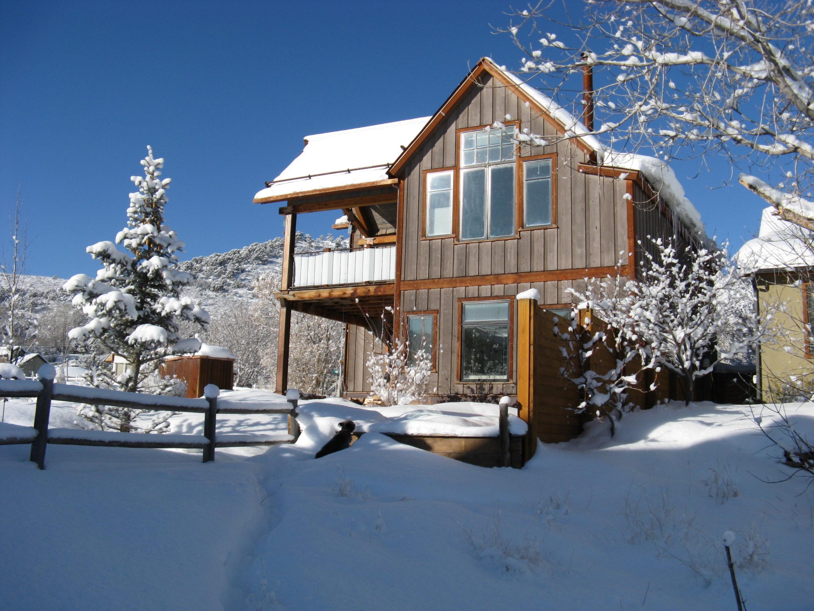424 Amy Way Ridgway, CO 81432 - Photo 11 of 25 after christmas snows, dog and cat 048