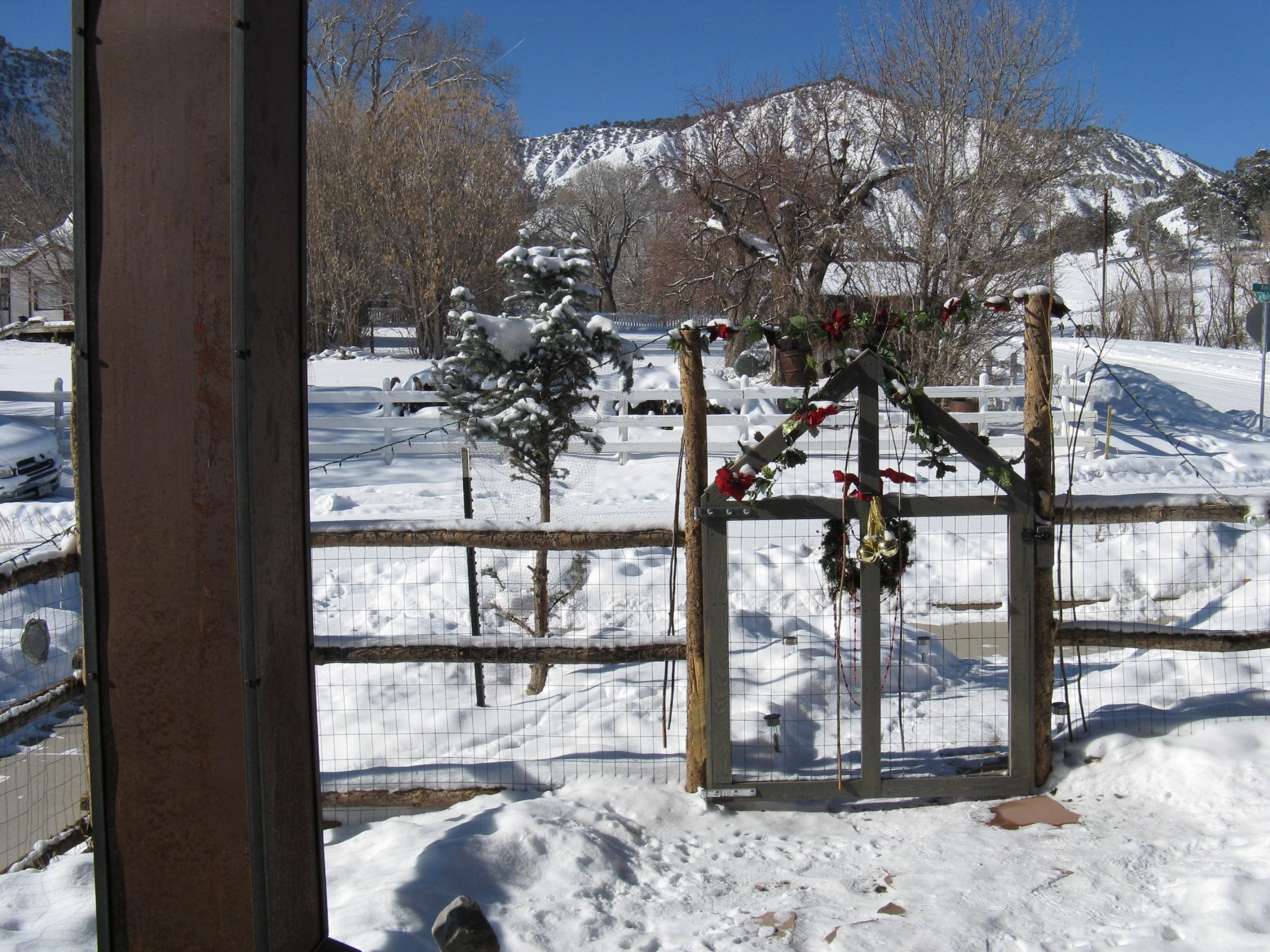 424 Amy Way Ridgway, CO 81432 - Photo 20 of 25 snow house 034