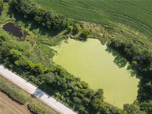 $1 | 0 Mo 126 Highway, Jasper, MO 64755