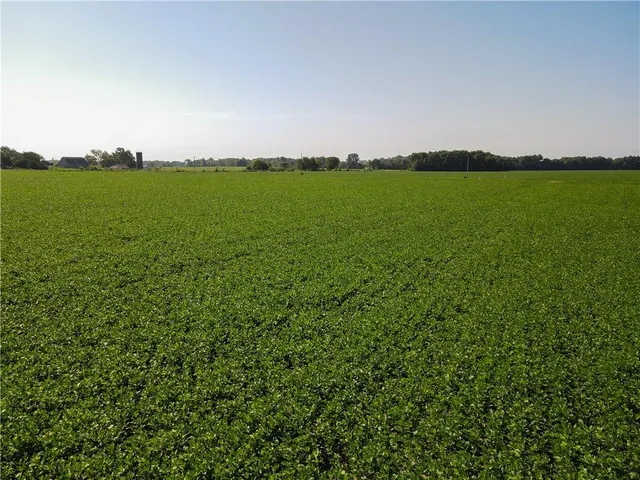 $1 | 0 Mo 126 Highway, Jasper, MO 64755