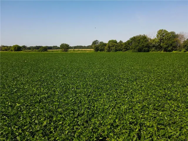 $1 | 0 Mo 126 Highway, Jasper, MO 64755