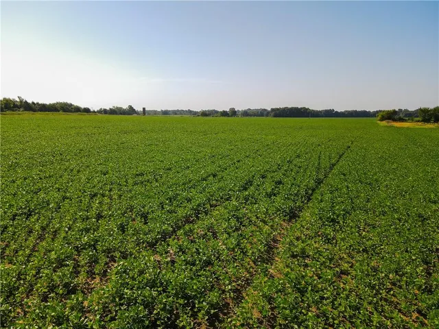 $1 | 0 Mo 126 Highway, Jasper, MO 64755