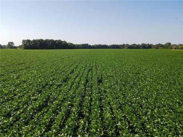 $1 | 0 Mo 126 Highway, Jasper, MO 64755