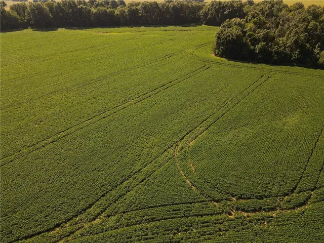 $1 | 0 Mo 126 Highway, Jasper, MO 64755