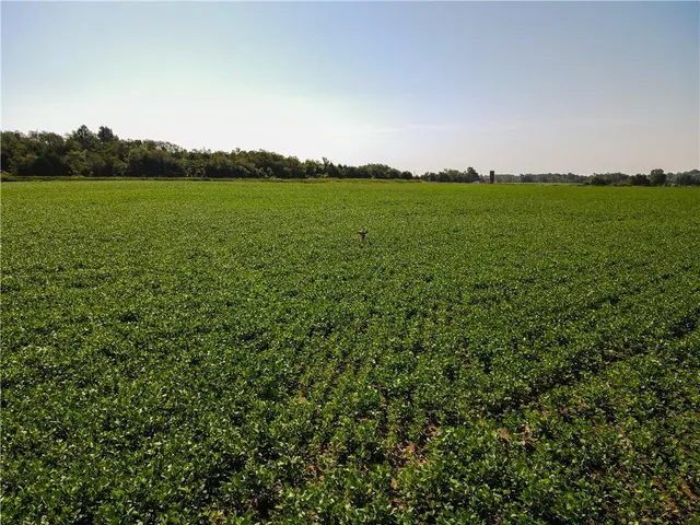 $1 | 0 Mo 126 Highway, Jasper, MO 64755