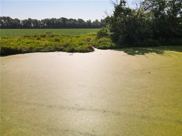 $1 | 0 Mo 126 Highway, Jasper, MO 64755