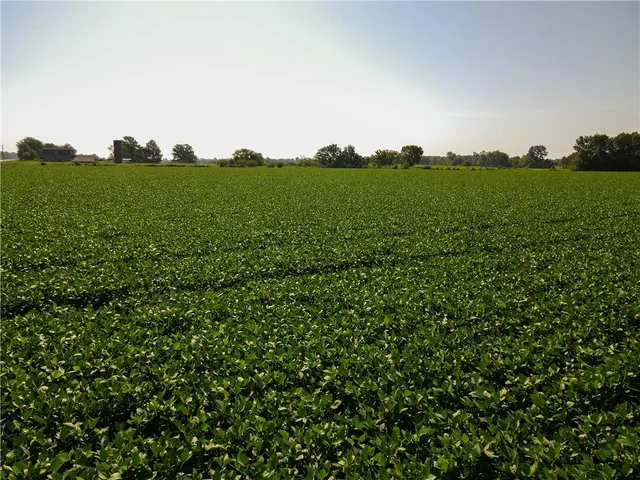 $1 | 0 Mo 126 Highway, Jasper, MO 64755