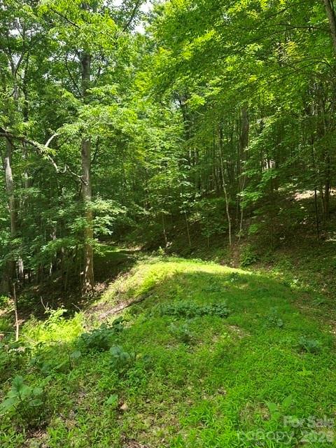Tbd Mountain Home Road, Unit 2 Banner Elk, NC 28604 - Photo 1 of 3