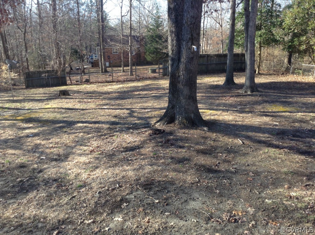 9513 Beach Road Chesterfield, VA 23838 - Photo 13 of 14 a view of a yard with a tree