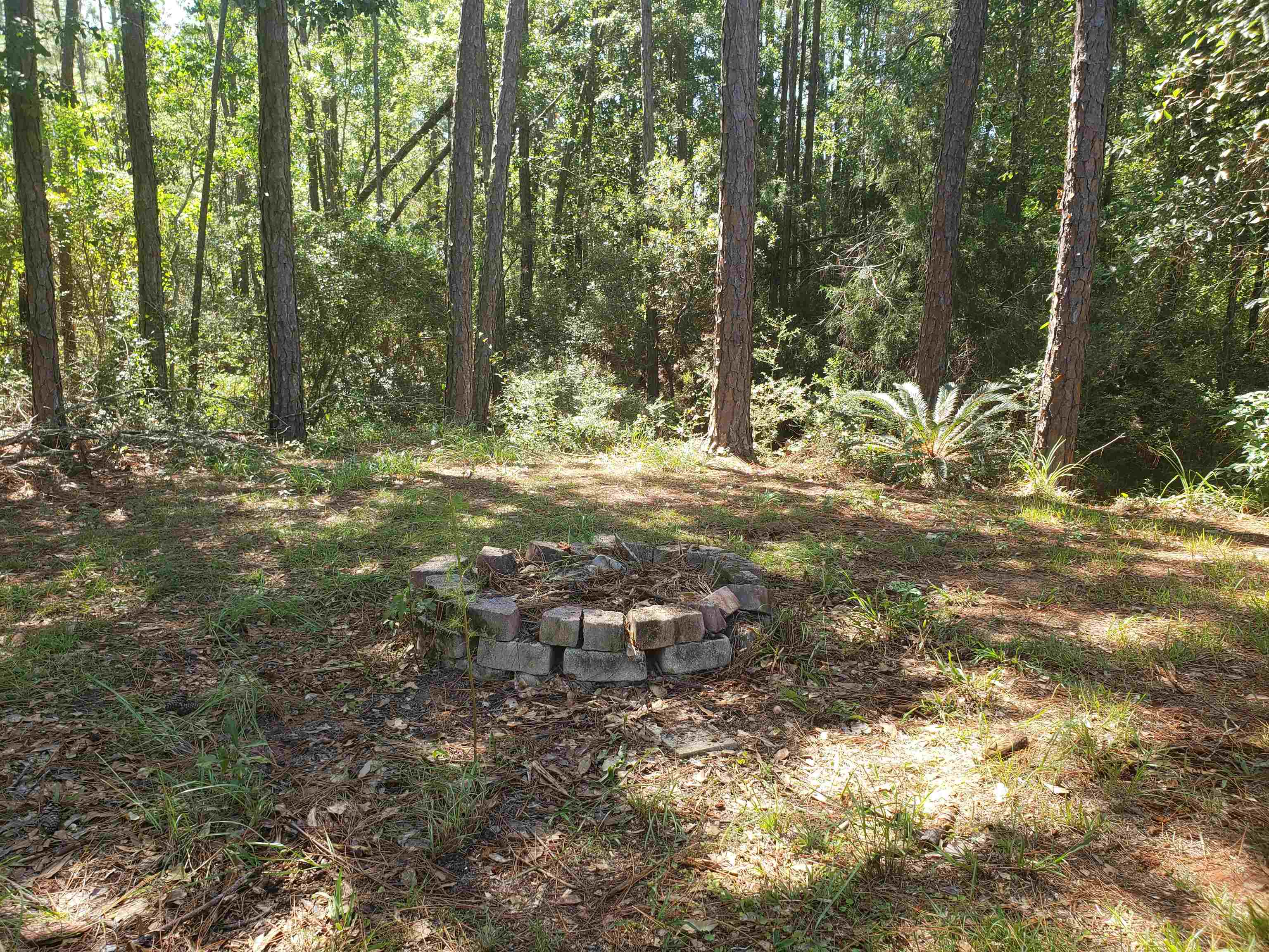 26375 Canal Street Elberta, AL 36530 - Photo 10 of 16