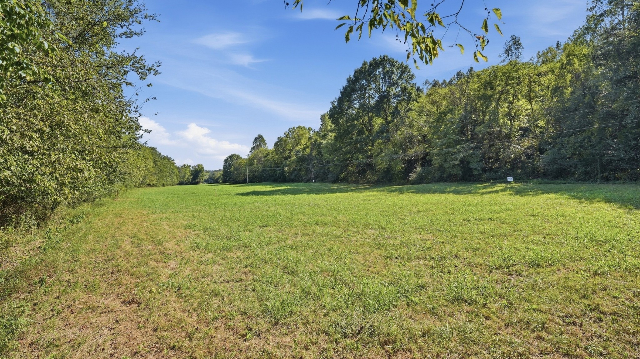 0 Opossum Paw Road Beechgrove, TN 37018 - Photo 8 of 22 Gallery Image 8