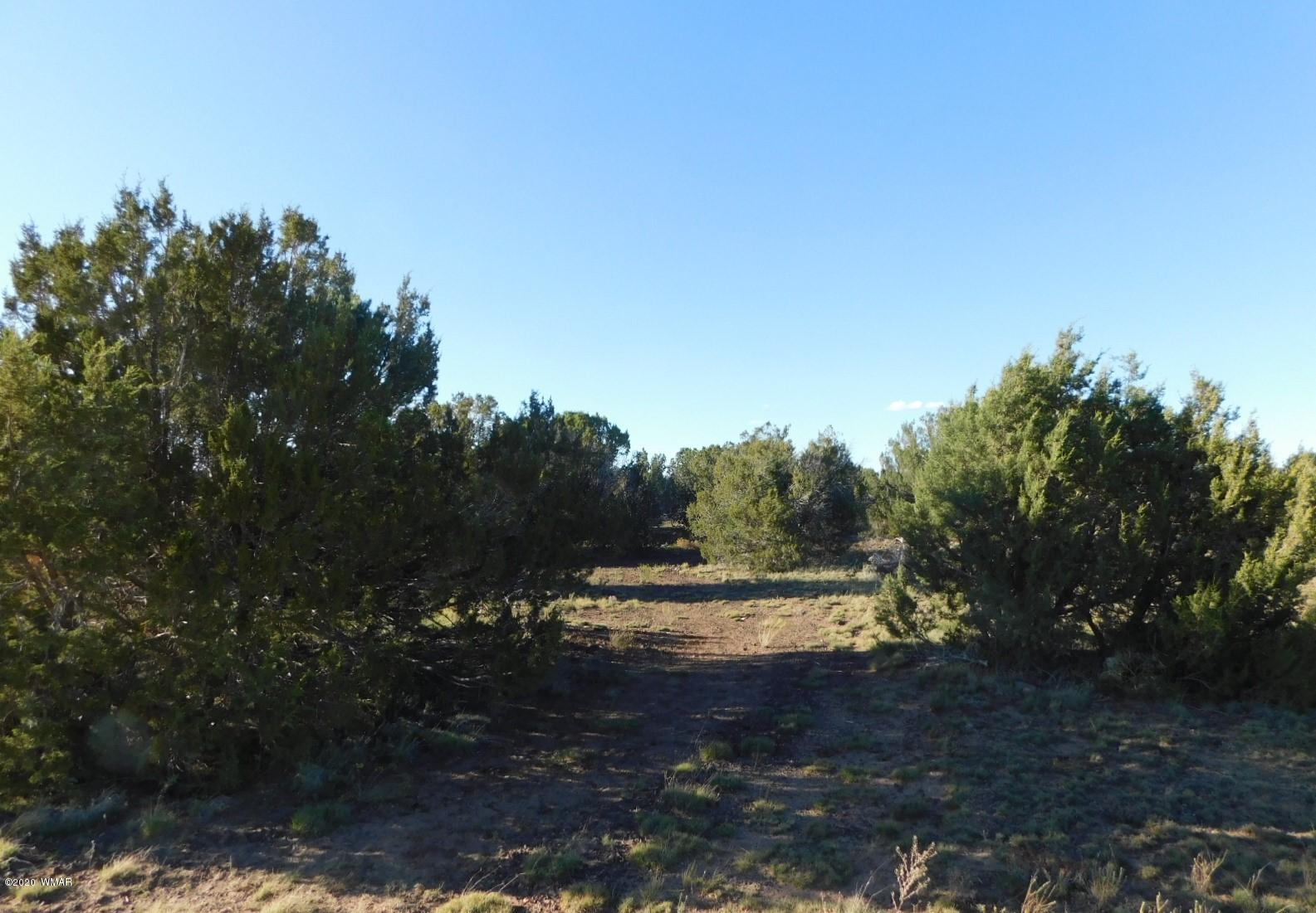 Lot 1 County Road Concho, AZ 85924 - Photo 1 of 12