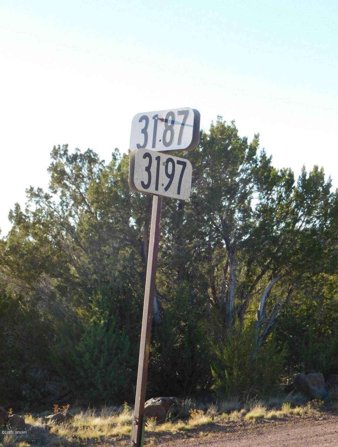 Lot 1 County Road Concho, AZ 85924 - Photo 11 of 12