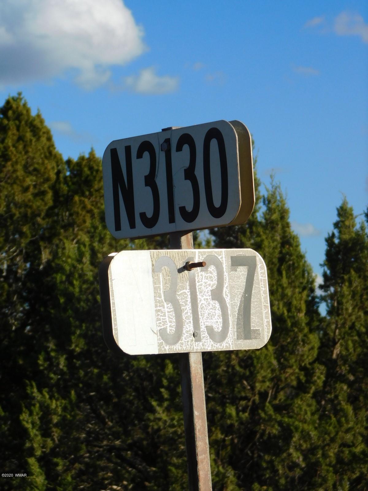 Lot 1 County Road Concho, AZ 85924 - Photo 12 of 12