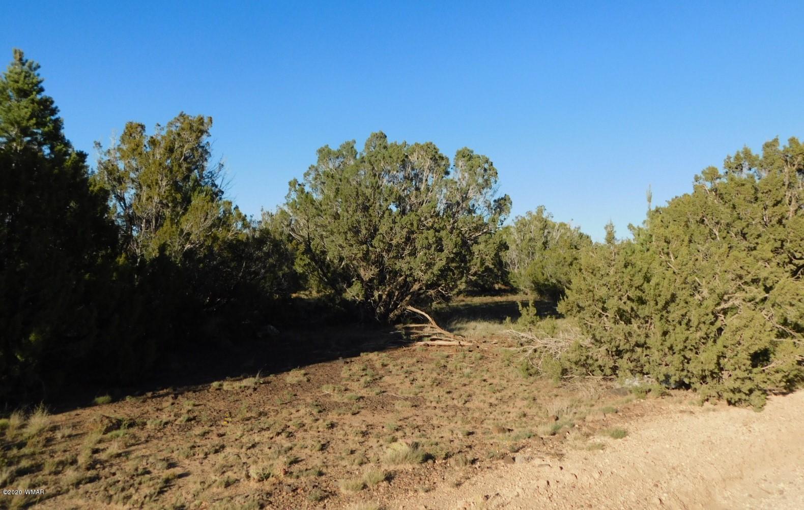 Lot 1 County Road Concho, AZ 85924 - Photo 5 of 12